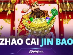 Zhao Cai Tong Zi screenshot
